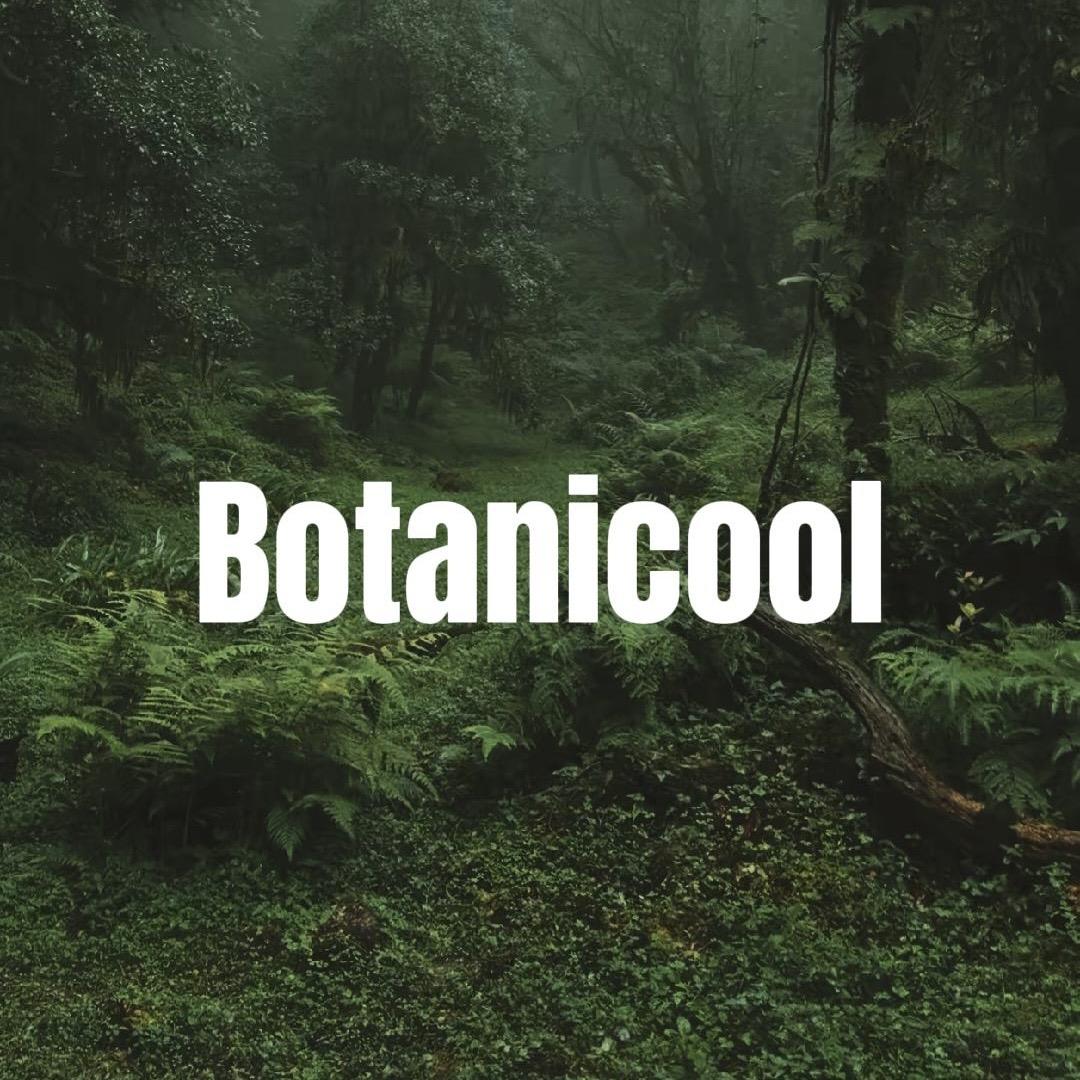 Botanicool植酷空间设计