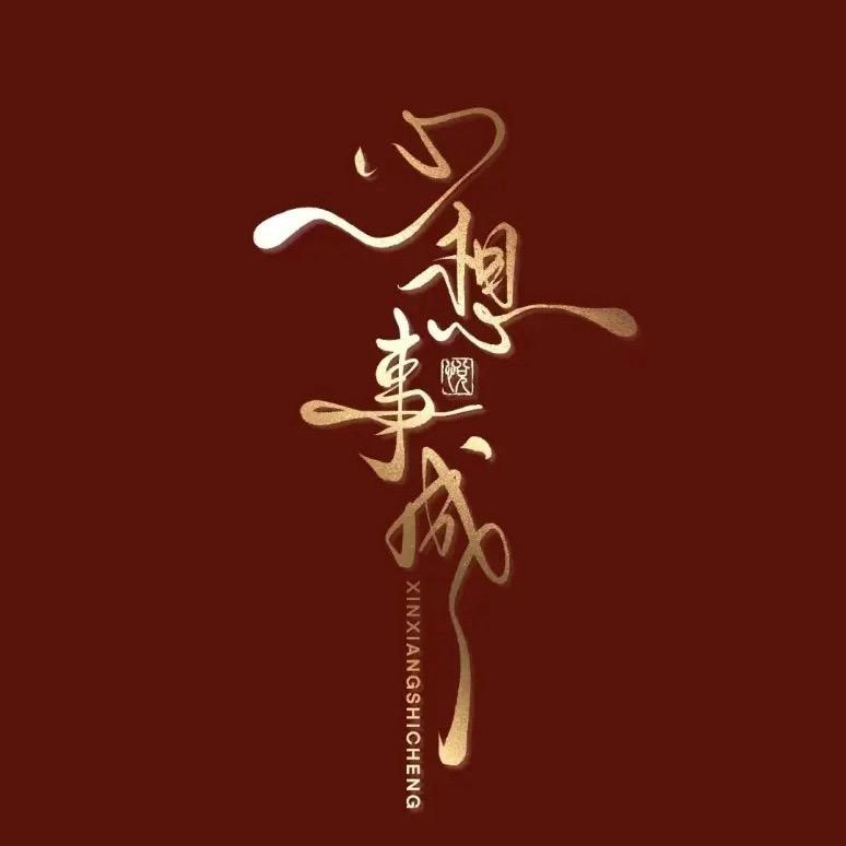 ☀️追光的人