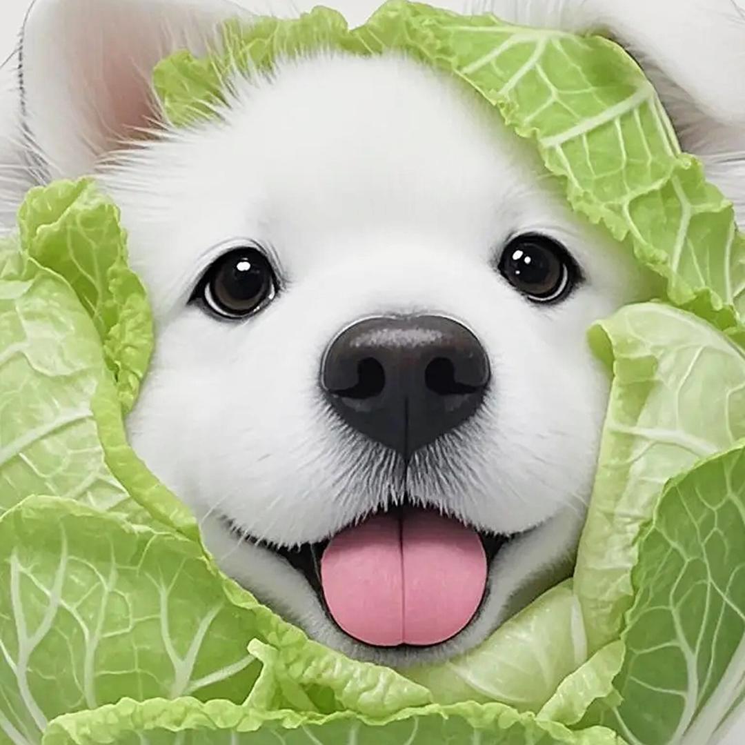菜狗猛男💘（地铁吃丹）