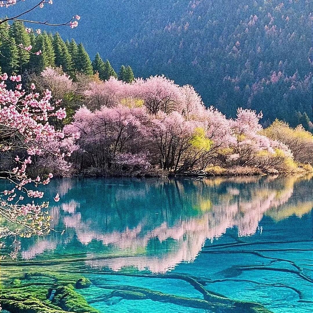 骑着蜗牛去旅行