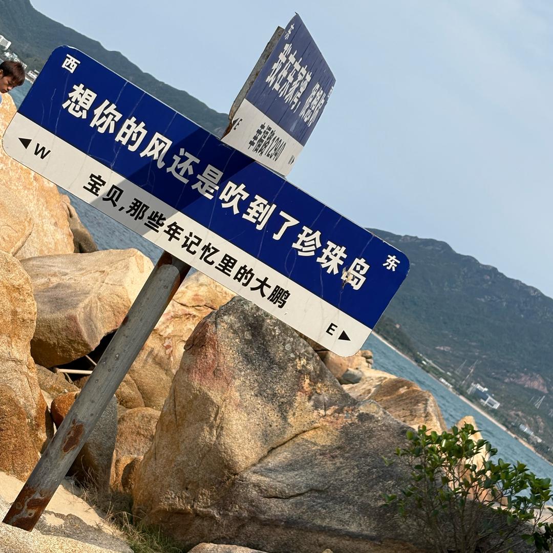 九离