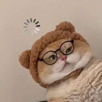 有猫病