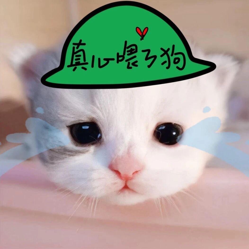 火鸡面大王