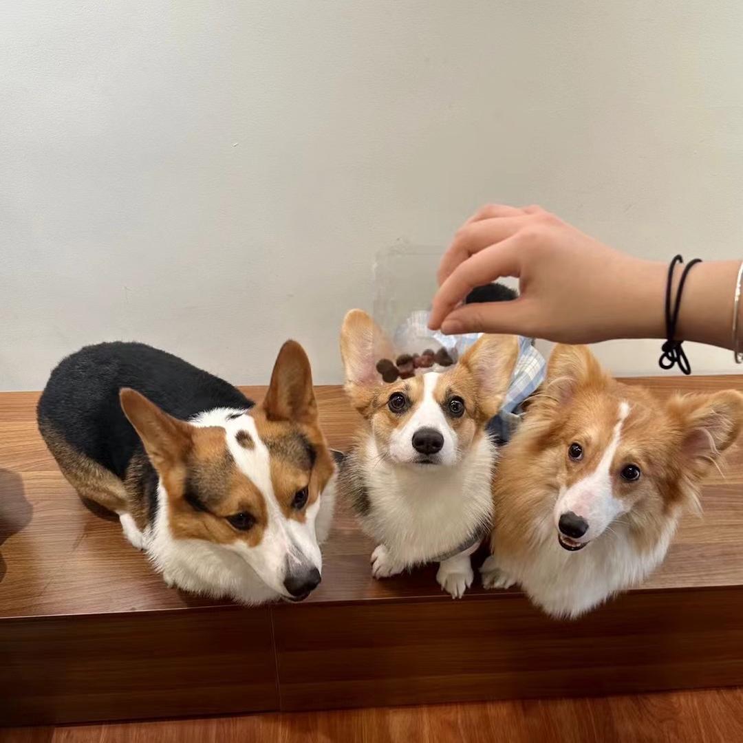 李泽楷-