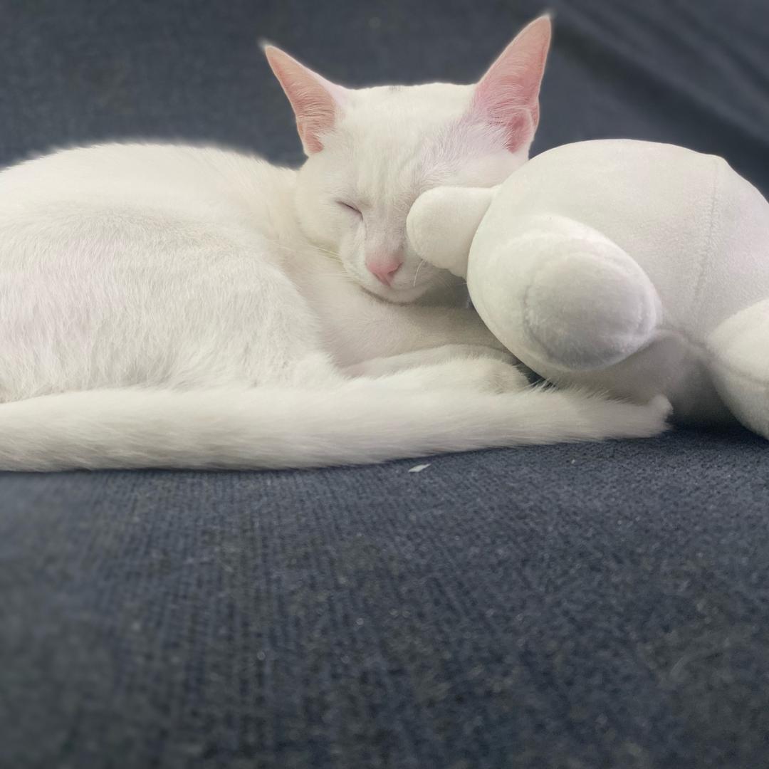 mine