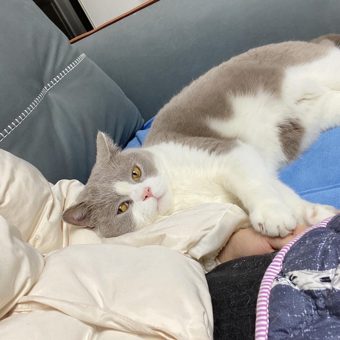 🌈抖音幸运儿🔥🀄🔥