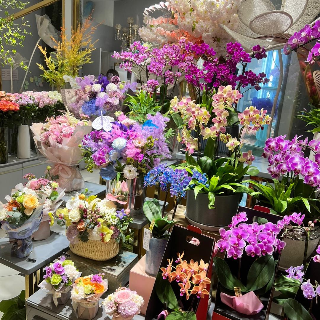Elaine专场