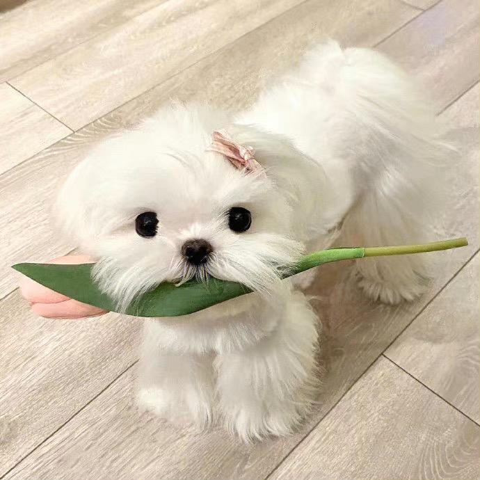 小辣爱购物（佛系测评版）