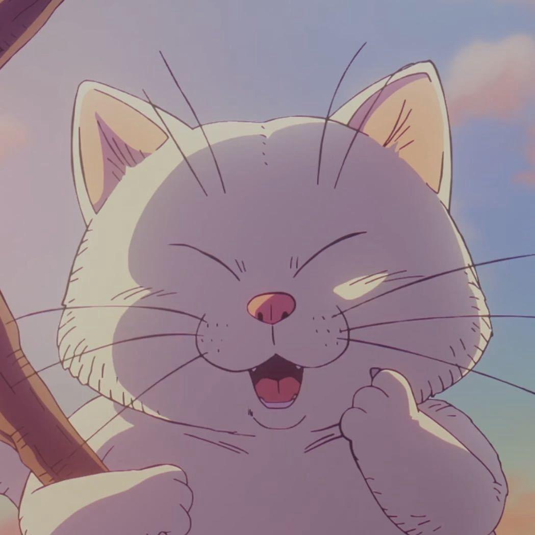 大猫鉴宝所