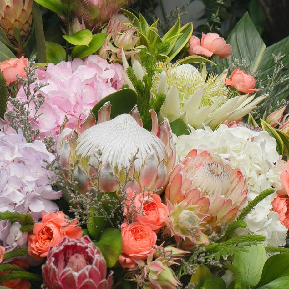 不是凡花