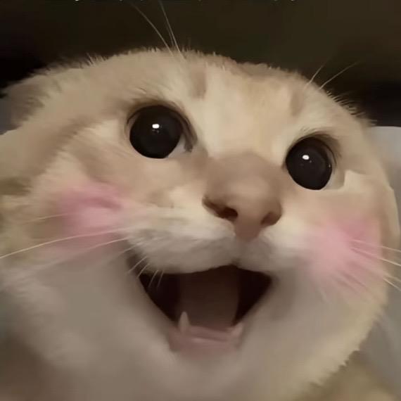 晚安小牛奶