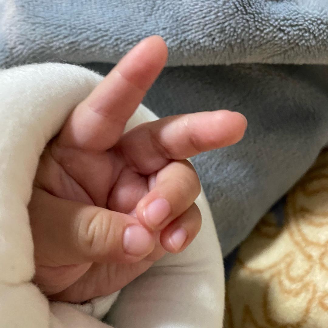 小罗与阿南记录生活