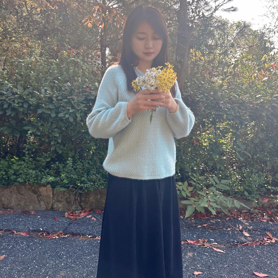 芳晴