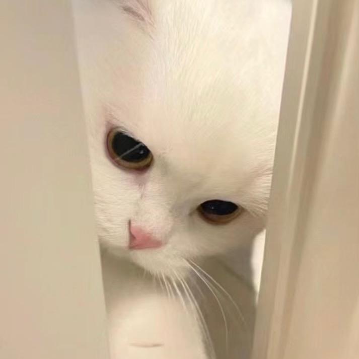 嘉心