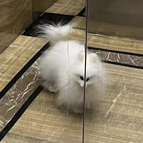 是嘉佳啦_