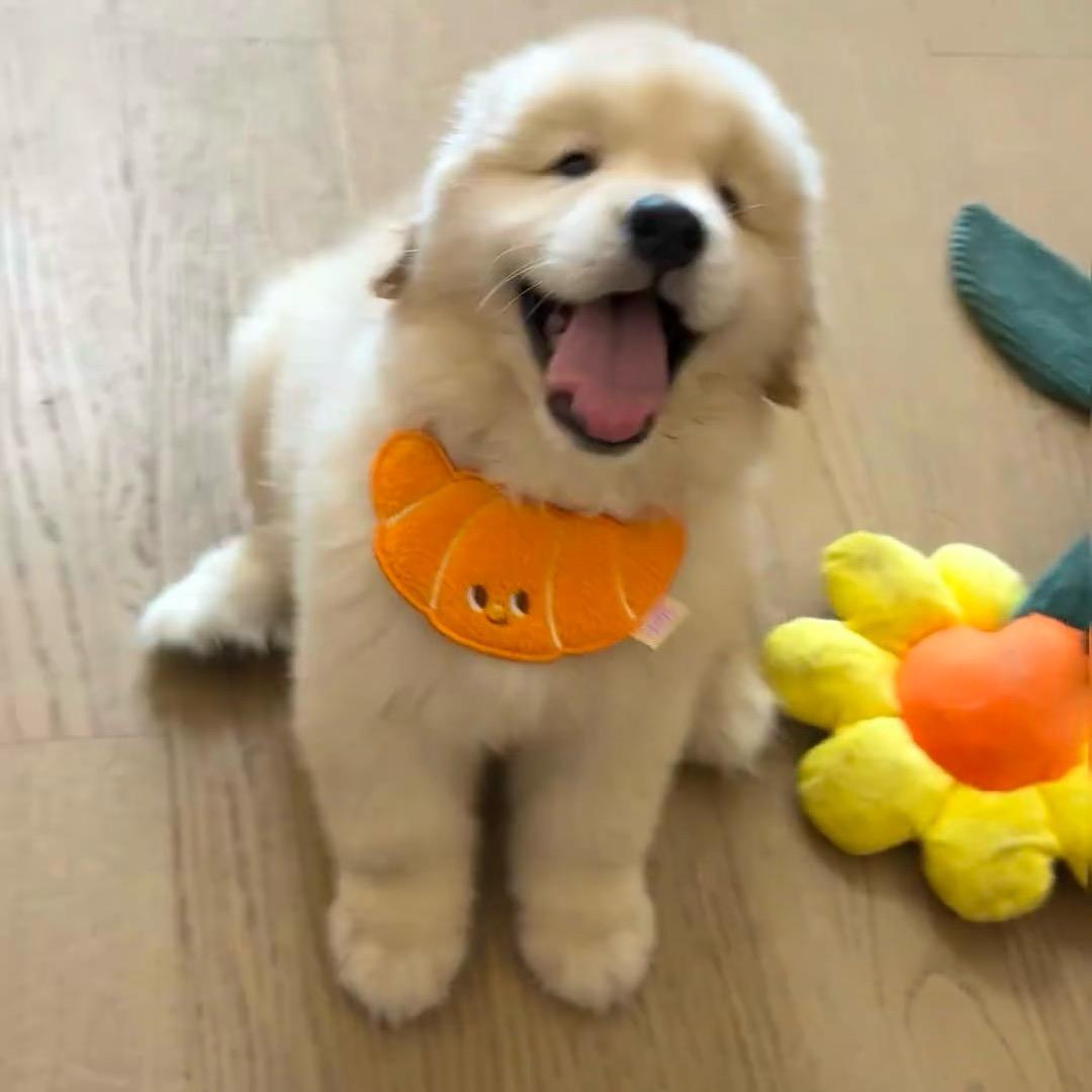 禧