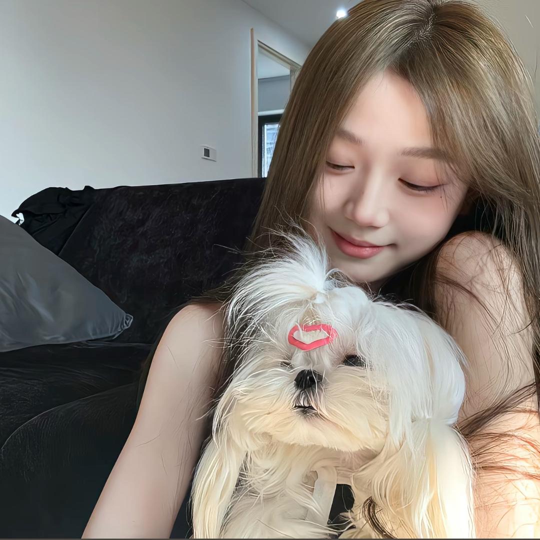 ：酥炸鱿鱼徐