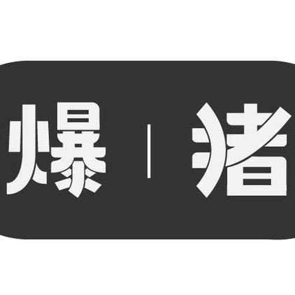 爆猪佳佳