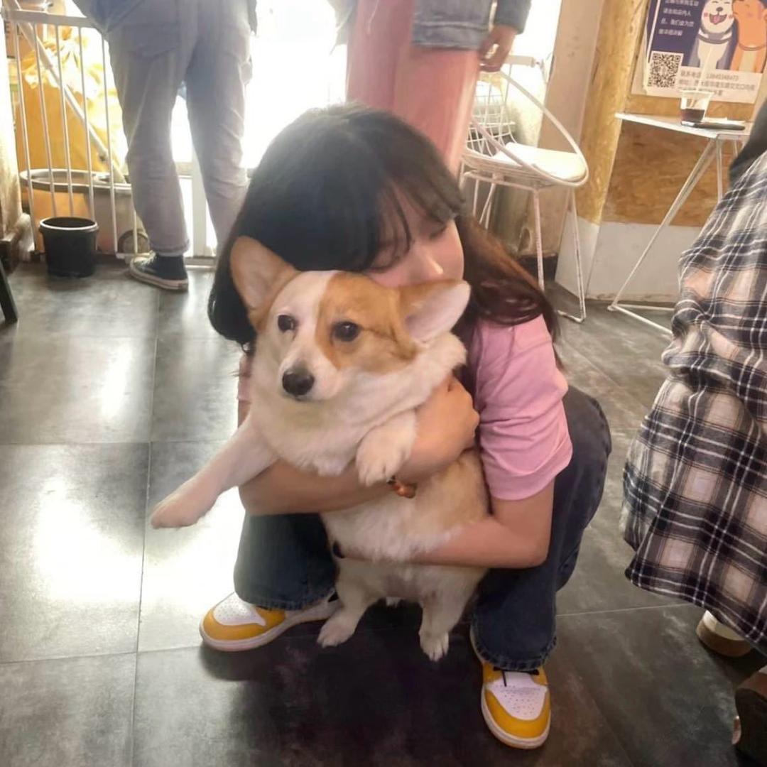 季音.