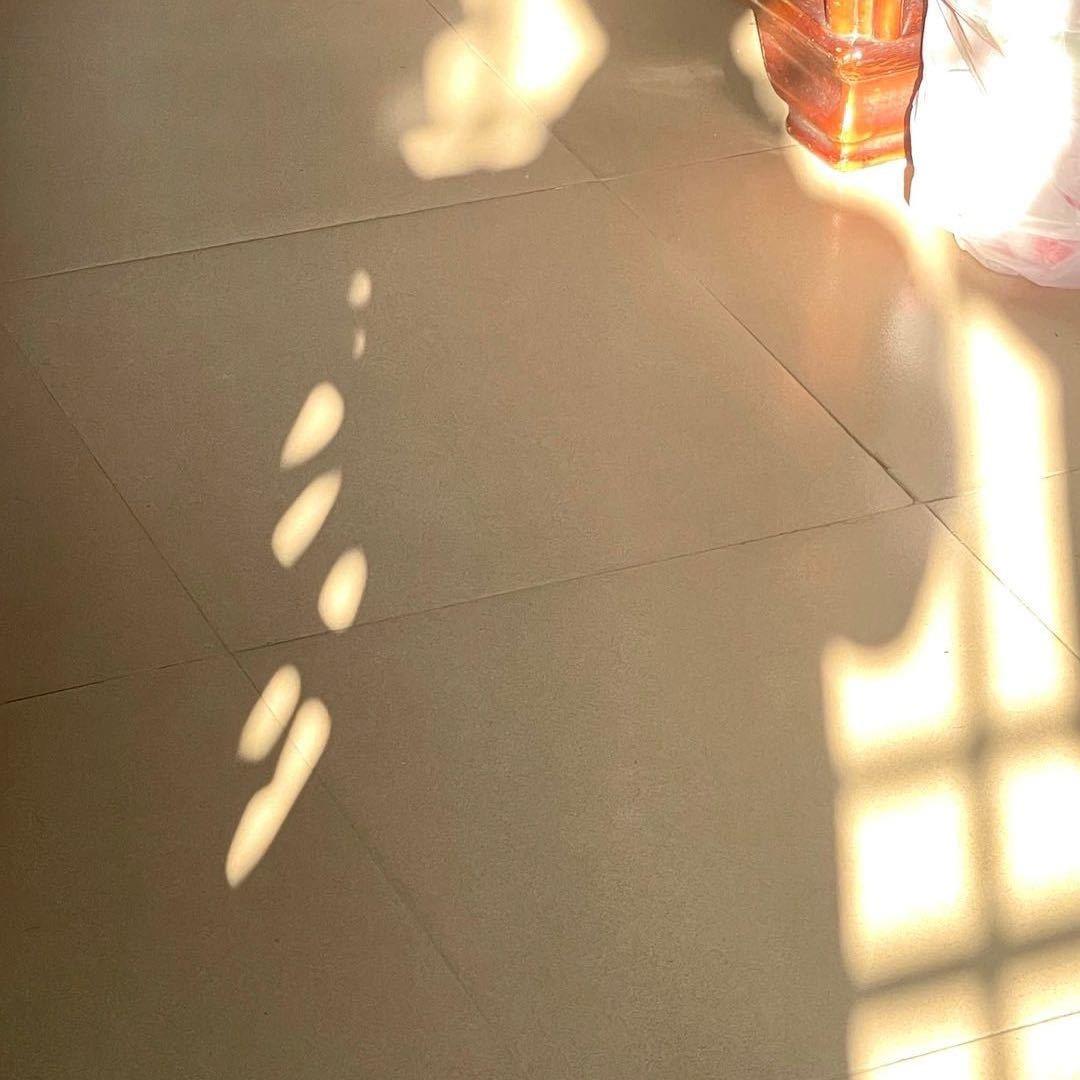 夜游辰的三食六记