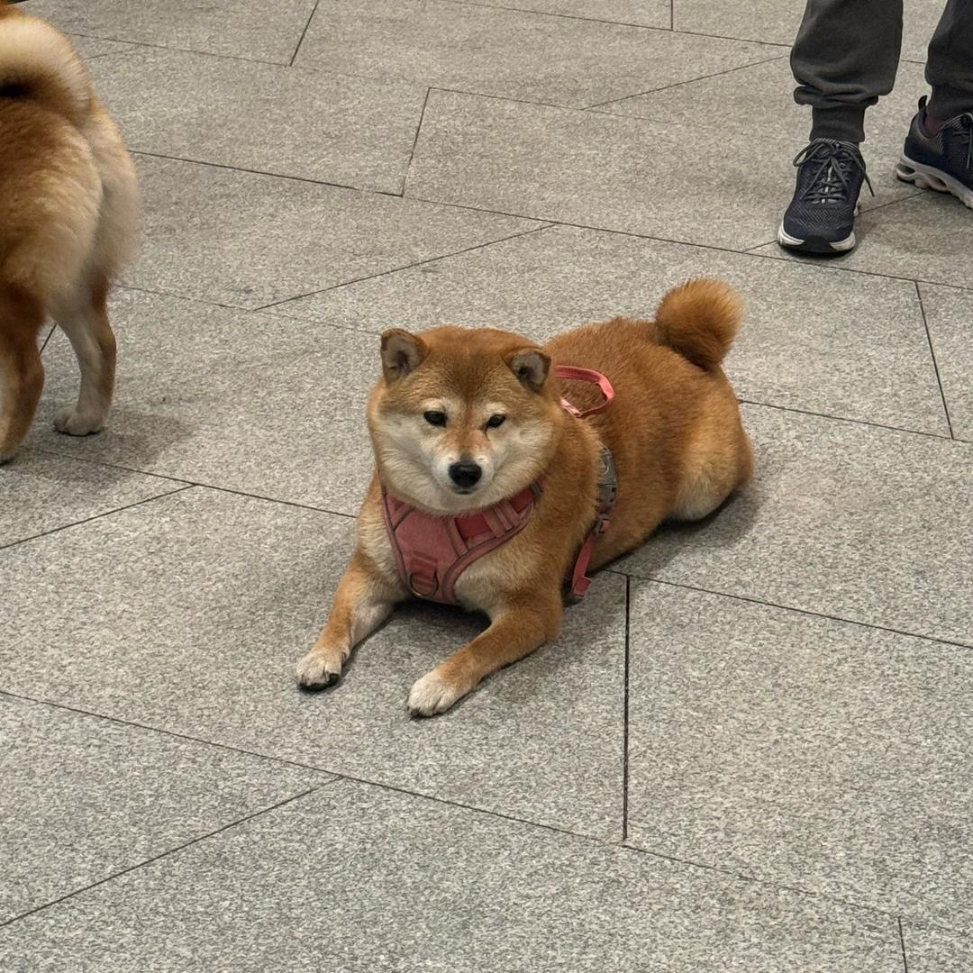 ゞ喜乐多ღ