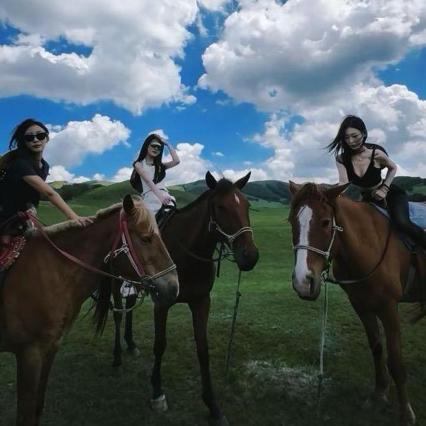 归野马术俱乐部