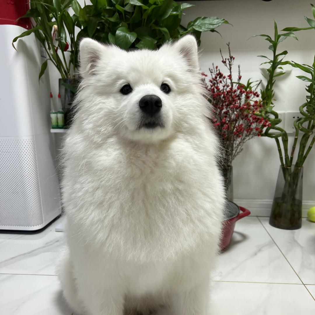 权科技术