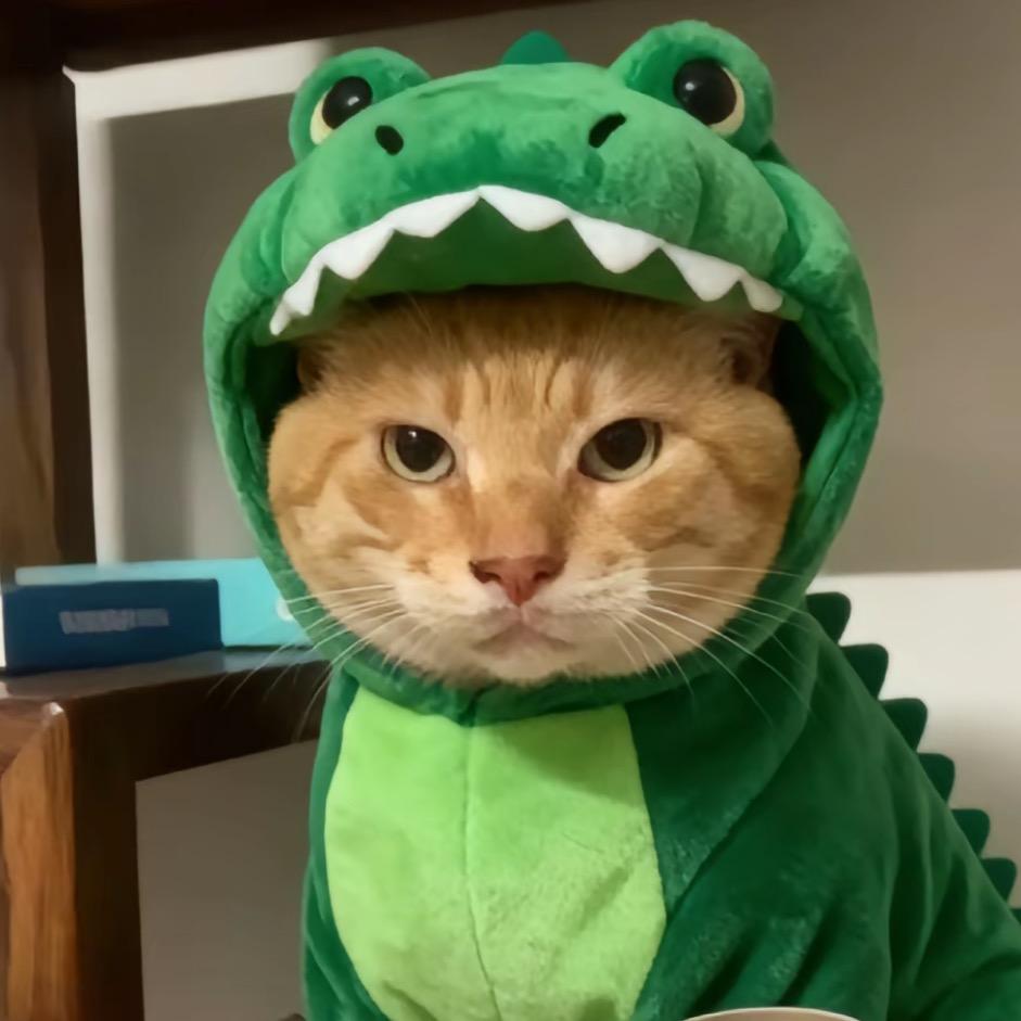 R神人