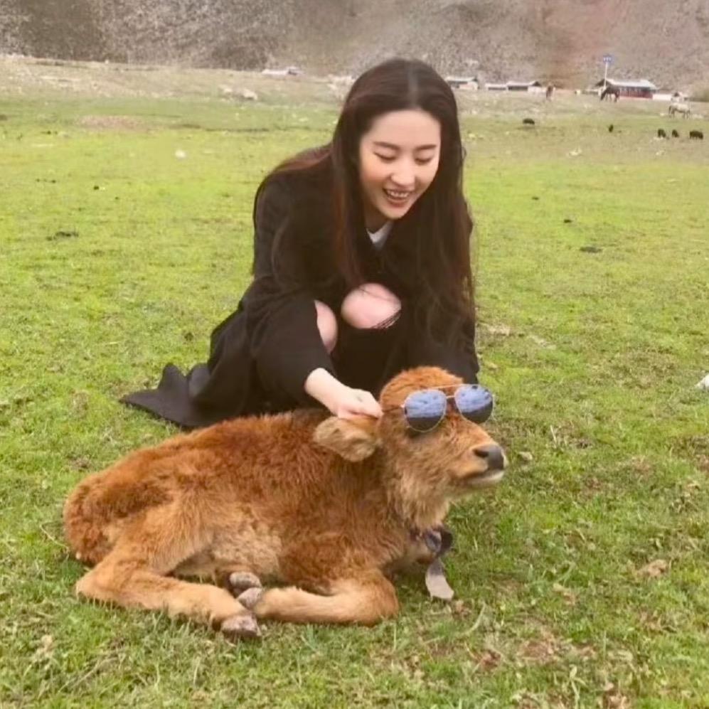 恋爱脑不恋爱