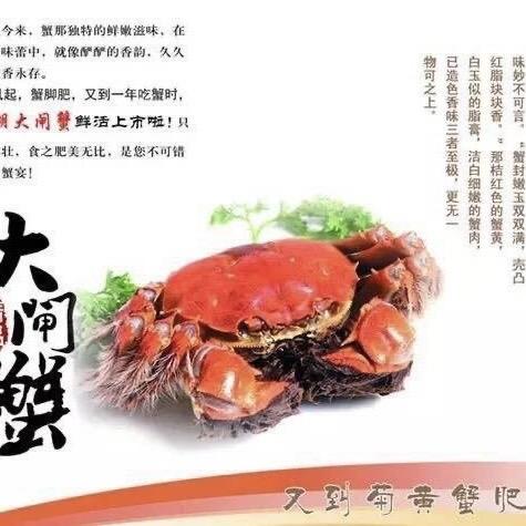 蓝潮大闸蟹