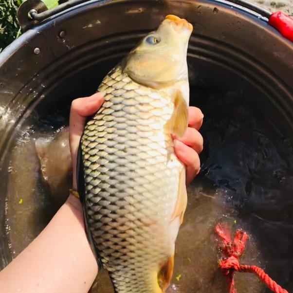 阿锋爱钓鱼