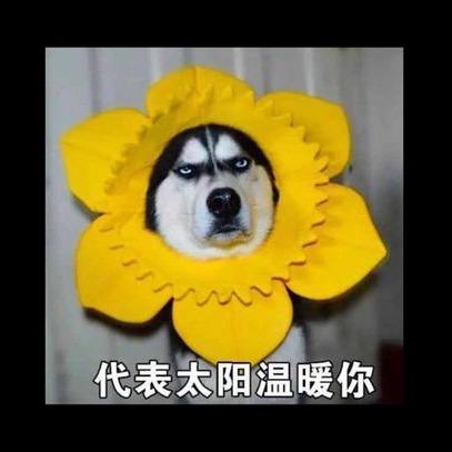 小小廖-翻唱