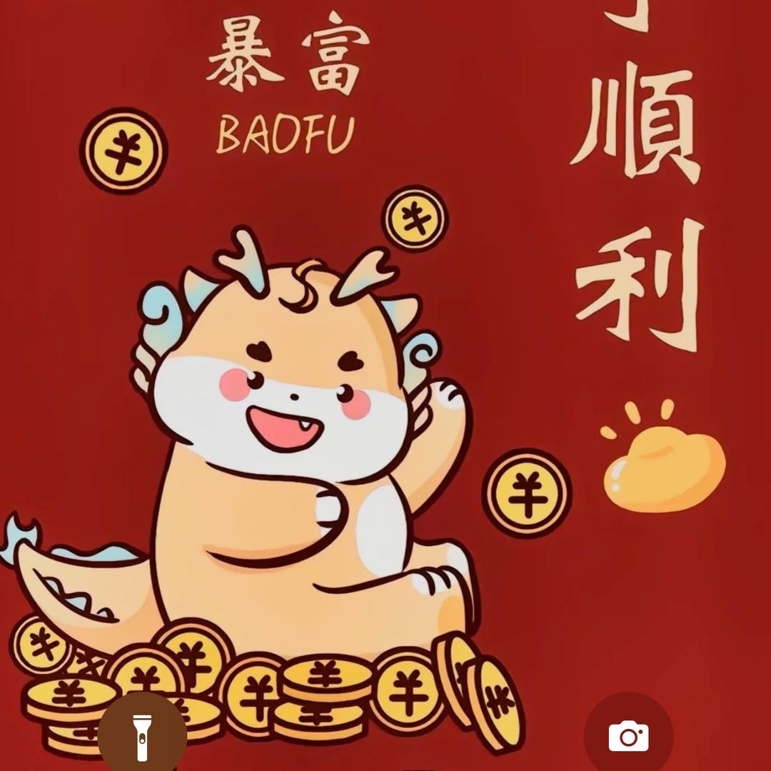 巴基斯坦小飞星光村