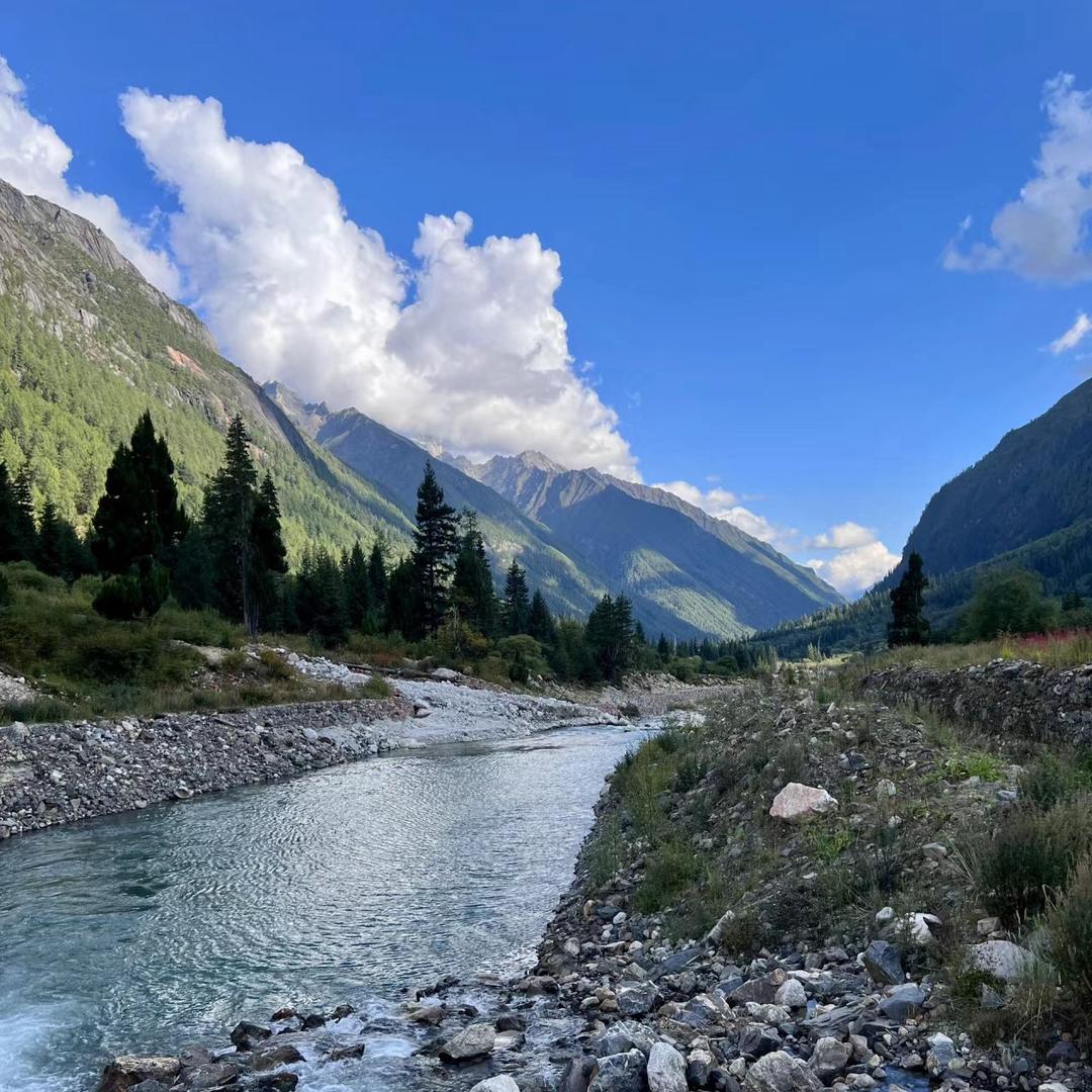 租房小马（一🐎平川）