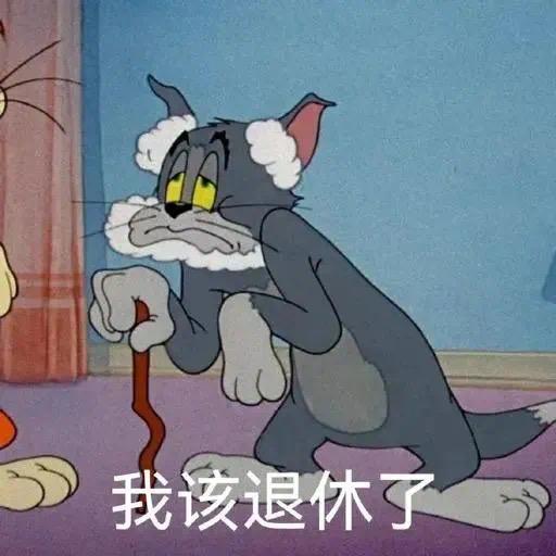 向晚朋友圈