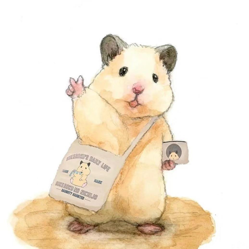 春生熊舍🐻