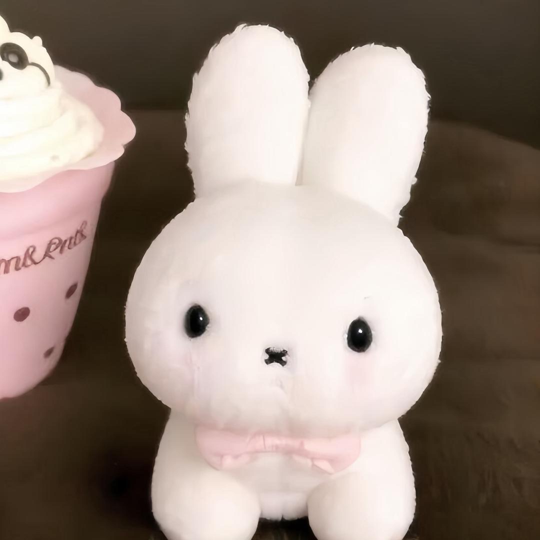 出发坐雪橇犬❄️