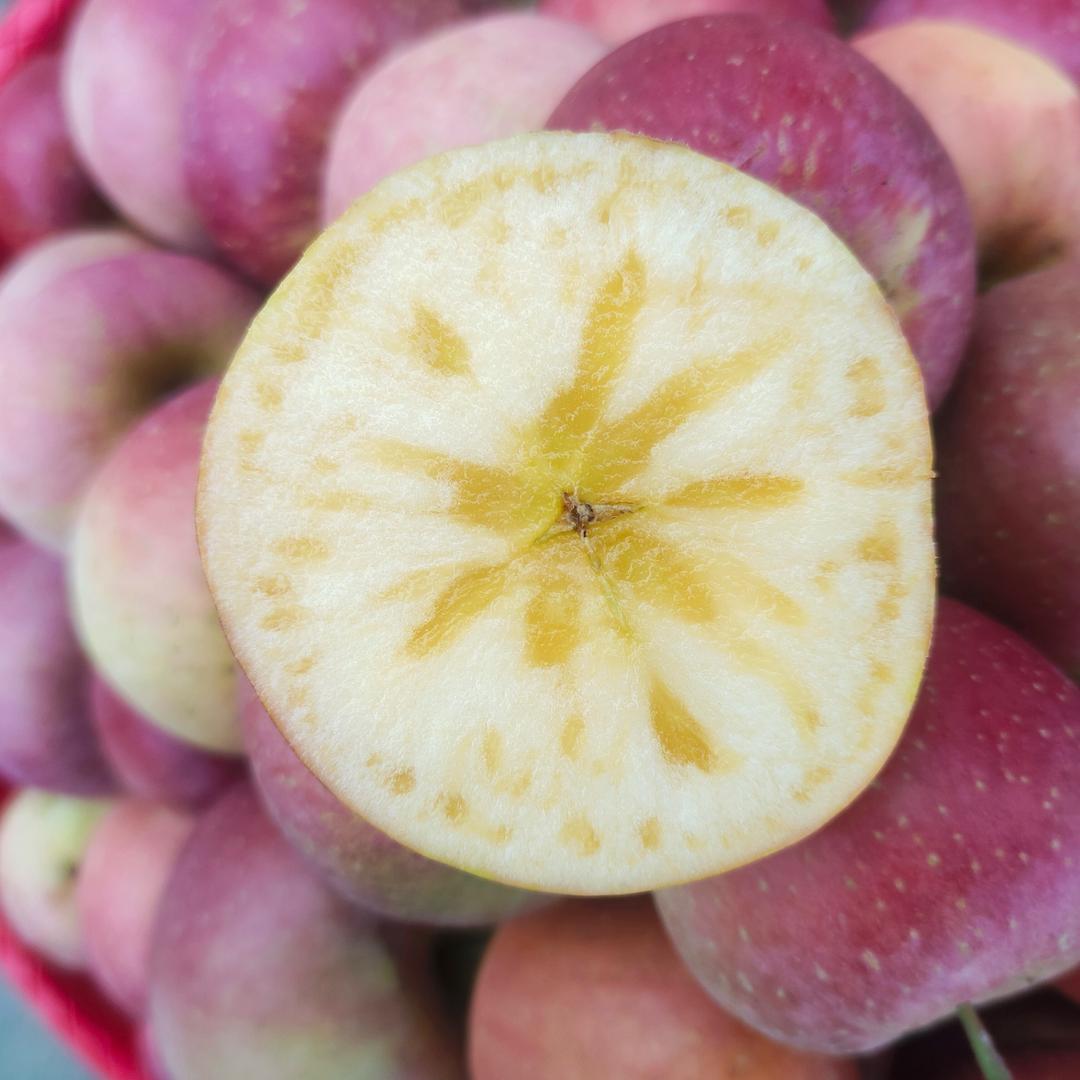 静静的糖心苹果