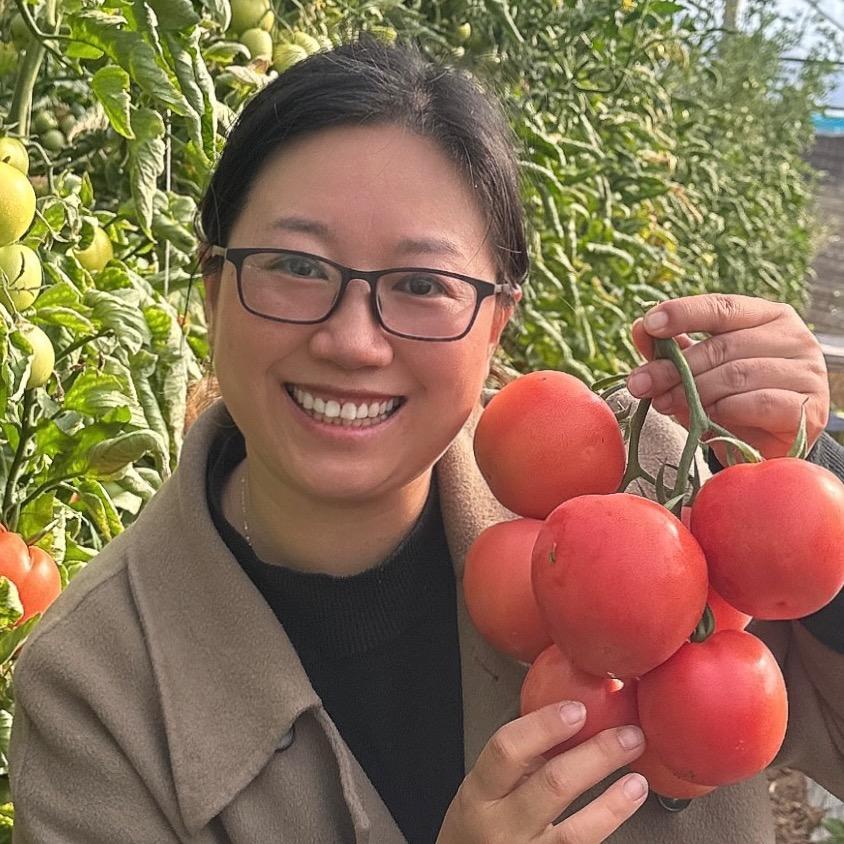 晶美香果蔬