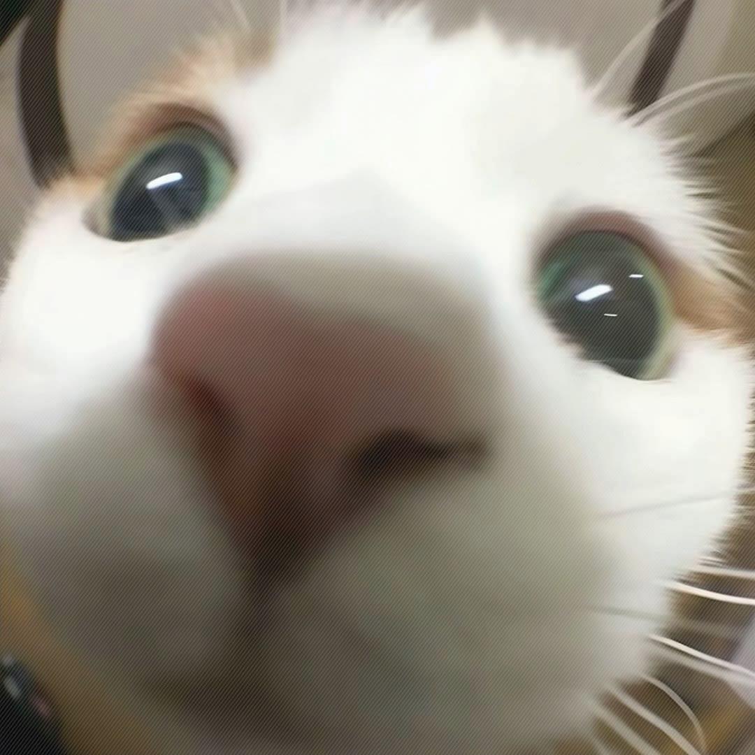 ˡᵒᵛᵉ藏在心里.ₓ