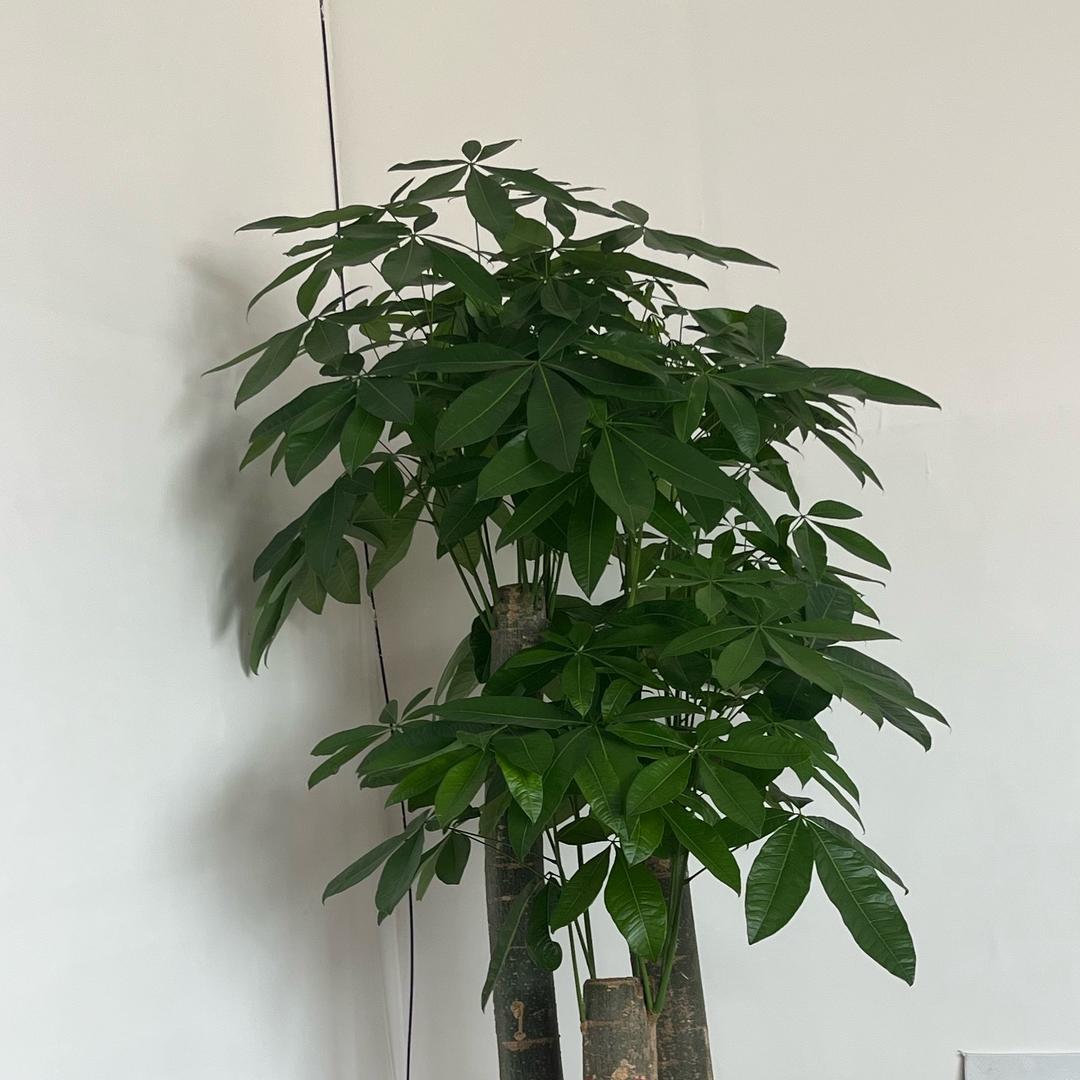 恒鑫源户外精选