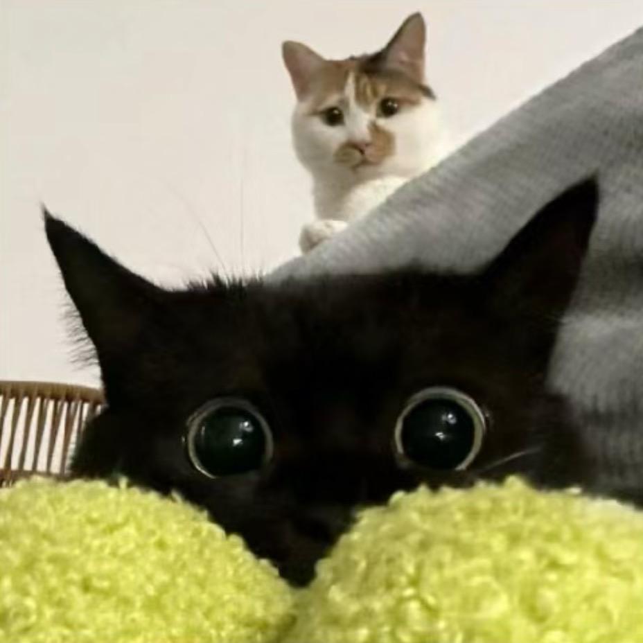 :