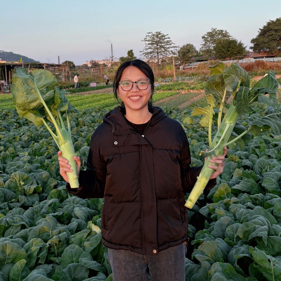 我叫青菜呀