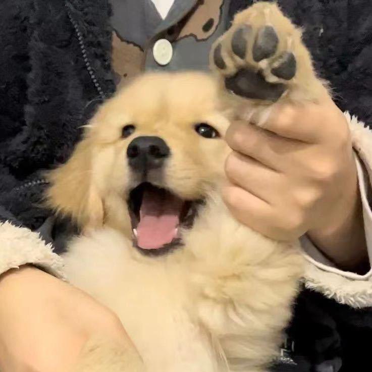 秋由嫣姬