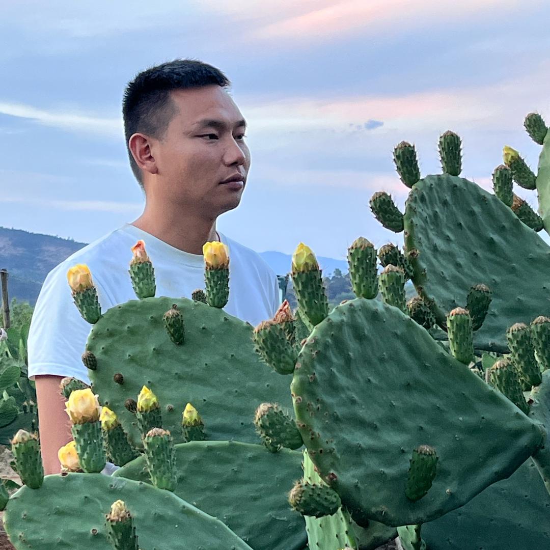 小六种仙人掌