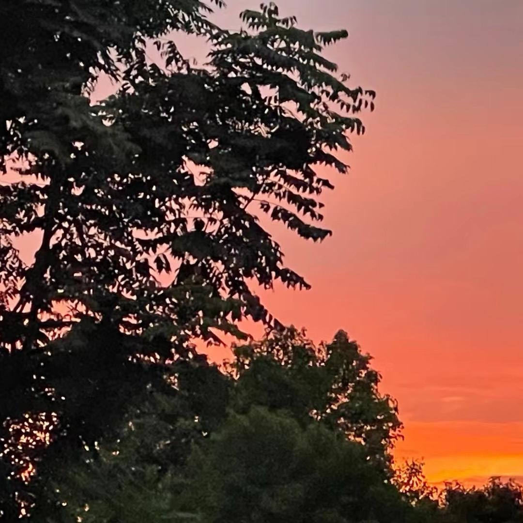 为了生活继续向钱冲