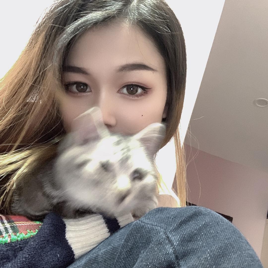 蓝菇凉🌻