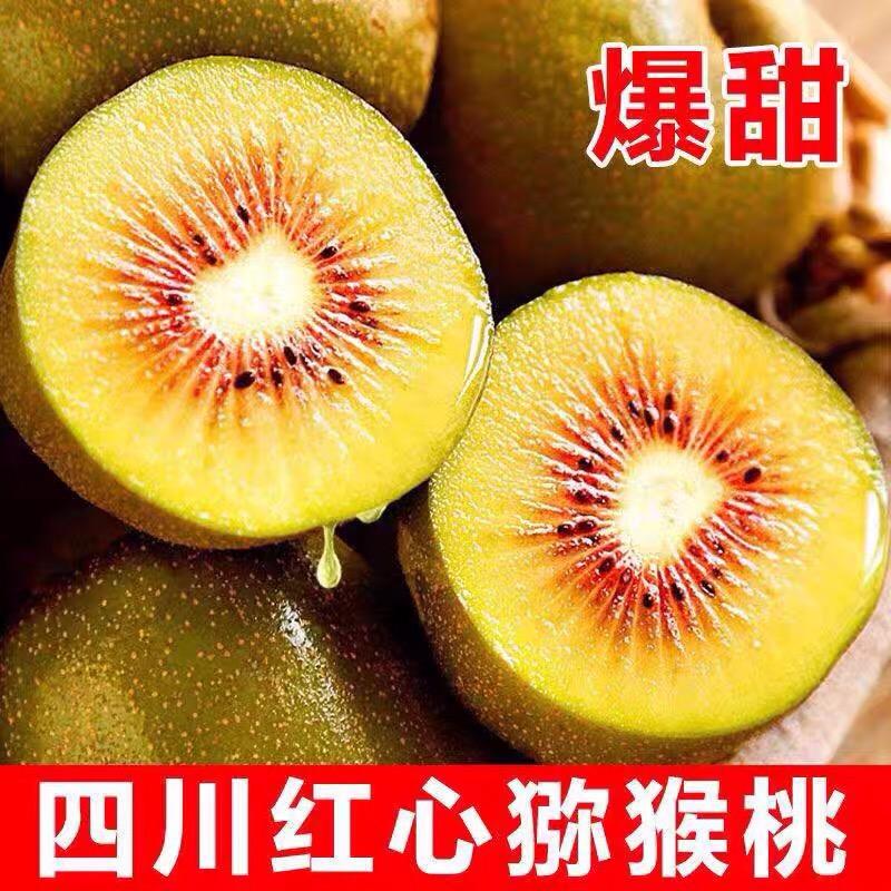 四川苍溪红心猕猴桃基地