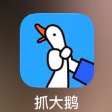 我爱抓大鹅