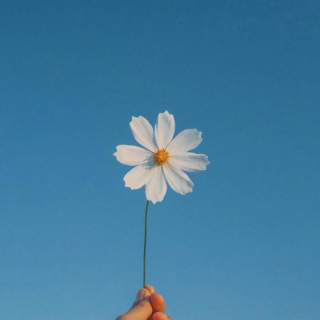 &劉得住亦菲_